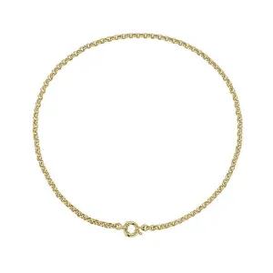Lionheart - 18" Heavy Rolo Chain, Yellow Gold